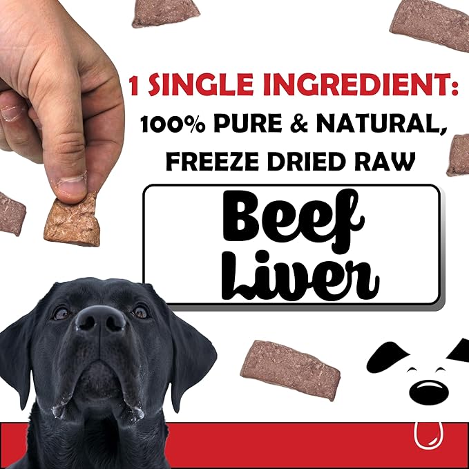 Close-up of a hand holding a piece of Winni Treats Freeze Dried Raw Beef Liver dog treats, emphasizing the single ingredient quality.