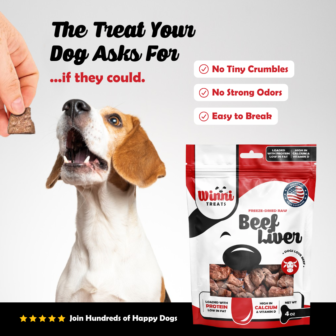 A cheerful dog eagerly anticipating a treat from Winni Treats Freeze Dried Raw Beef Liver dog treats, conveying excitement for delicious rewards.