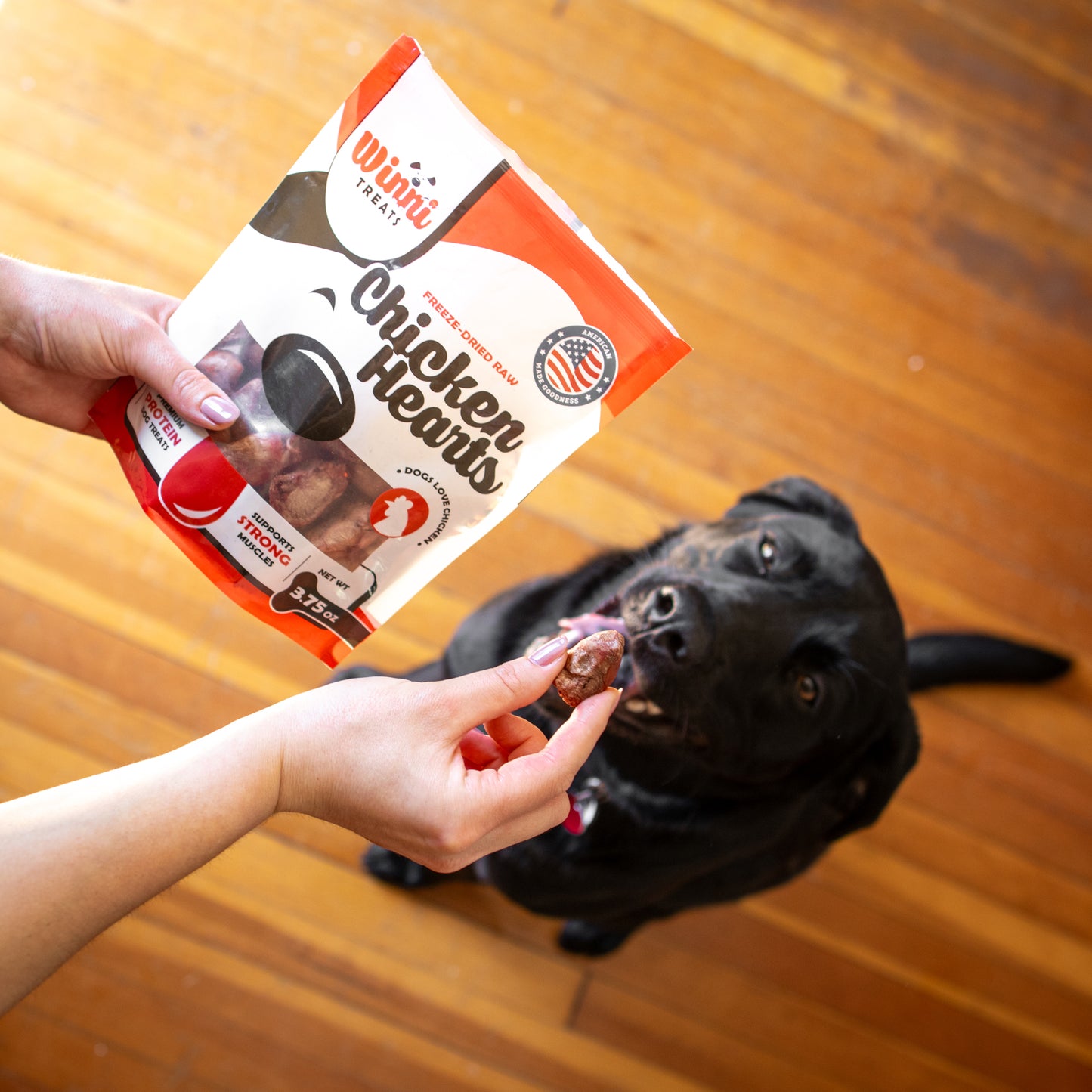 Premium freeze dried raw chicken hearts from Winni Treats for dogs, packed with nutrients.
